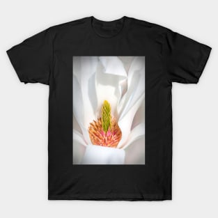 Close-up of a Magnolia Flower T-Shirt